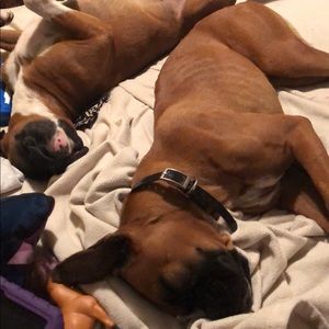 Meet your Posher, Tiffany